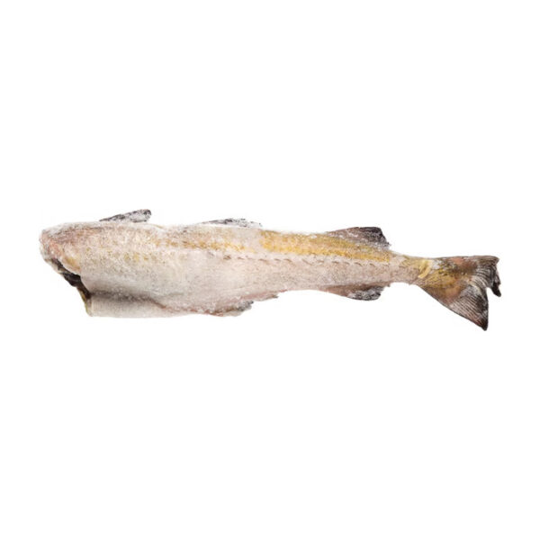 Abadejo